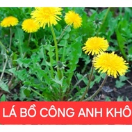 1kg Dried Dandelion Leaves (Full leaves without stems, green, fragrant, clean, new)