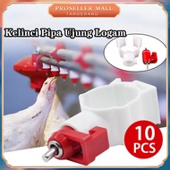 Nepel Air Minum Ayam Stainless Steel Tempat Minum Ayam Petelur Nipple