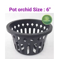 Pot Plastic Flower gardening Orchid Size 6" (6pcs)/ Pasu Plastik Hitam Tanaman Hias Orkid