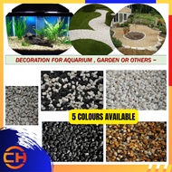 1KG /2KG 5 MM PEBBLE WASH STONE GARDEN LANDSCAPE DECORATION AQUARIUM BATU KACANG