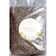 Pumice Stone / Batu apung (+/-1.6kg)