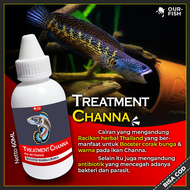 Treatment Ikan Channa Auranti Andrao Stewarti Limbata Maru Barca Blue Pulchra Asiatica Yellow Sentar