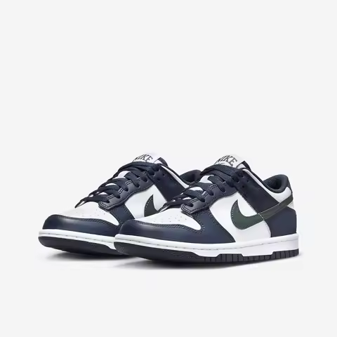 Nike Authentic Dunk Low GS Women's Youth Classic Wear-Resistant Sports Shoes HF5177-400