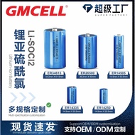 Er14250 Lithium Sub Battery Customized 3.6v Sulfide Chlorine Battery er14505 with Plug Soldering Pin