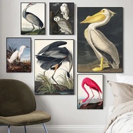 Vintage Bird Canvas Print Audubon Bird Posters Pink Flamingo Snowy Owl Pelican Blue Heron White Egre