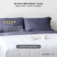 Weavve TENCEL™ Lyocell Duvet [tencel duvet | quilt | comforter | tencel blanket | duvet insert | Ant
