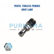 IRON TUBELESS VALVE (PEDNEK) OUTER THREAD TUBLESS TIRE VALVE Tubeless Valve Valve Tubeless