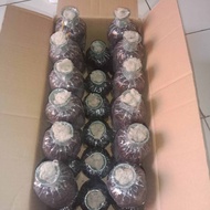 BIBIT JAMUR MERANG HITAM SUPER SEPAKET ISI 12 PCS