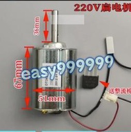 （台灣新品）120v永磁直流電機小型手搖微型diy發電風力發電機馬達靜音大功率