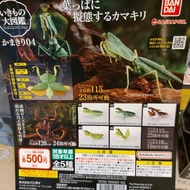 The Diversity Of Life On Earth Mantis 04 螳螂造型大圖鑑系列 04 扭蛋 (全套5款)