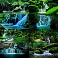 Aquarium background sticker customization Fish tank wallpaper 3D landscaping decoration Landscape se