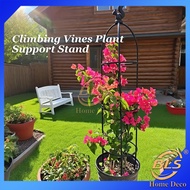 Climbing Vines Plant Support Stand Squirrel Design Lattice Flower Stand Plant Support Rack