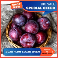 Buah Plum Jeruk Segar 500 GR 1 KG Buah Kaya Manfaat - BREWOK DADDY Ada Buah Lainnya Persimmon Spesial 2 KG | Leci Madu | Pir Packam Korean Pears | Anggur Sultan Merah Hitam Australi Impor Manis | Buah Impor Segar Sayuran Segar Bawang Merah