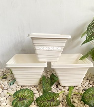 Pot Bunga Kenanga 21 Putih
