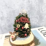 (材料包)花寓blumenladen 松果永生聖誕樹diy禮盒組/聖誕禮盒/