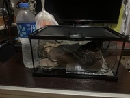 爬蟲玻璃箱 加熱板 躲避屋  