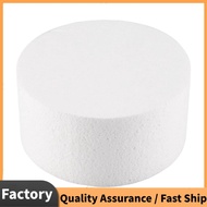 Round Cake Dummy (6 inch)