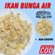IKAN BUNGA AIR (65g)