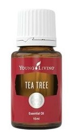 茶樹精油 Tea Tree - 包郵