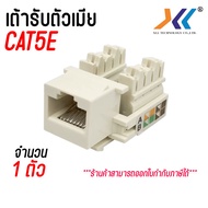 เต้ารับหัวแลนตัวเมีย AMP CAT6 RJ45 MODULAR JACK มีให้เลือกหลายเเบบ กดดูที่ตัวเลือก