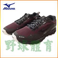 〈ElRey野球王〉MIZUNO WAVE DAICHI 6 GTX 女款越野慢跑鞋 J1GK215642