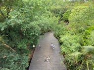 (Free eSIM) Bang Kachao bike & nature Tour in Bangkok