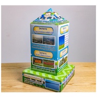 Pillar 10 Royal Initiative Project