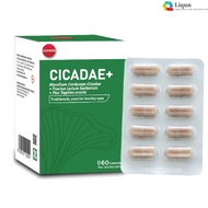 GKB Cicadae+ Antioxidant Eye Health Supplement - Prevent Cataract & Dry Eye - 350mg