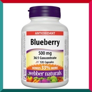 Webber Naturals - 明目抗衰老濃縮藍莓精華 36 : 1 (500 毫克) 加量裝 (多 33 ％) 120 粒 護眼防藍光抗氧化衰老逆齡美肌視力