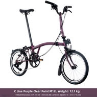 Folding 12-Speed Bicycle