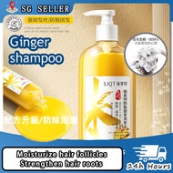 【SG Ready Stock】-ginger shampoo/ Promotes hair/hair growth serum/hair loss shampoo/hair shampoo/shampoo hair loss