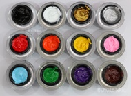 VS สีเจล สำหรับเพ้นท์เล็บ เพ้นท์นูนพิเศษ สีเข้มข้น ชัดเจน Color Gel UV / LED For Painting and 3D