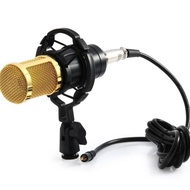 Condenser Microphone BM 800 with Shock Proof Mount