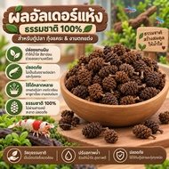 Natural Alder Cones 1 Release Tannin For Dwarf Shrimp Red Bee Beta Fish Aquarium Terrarium