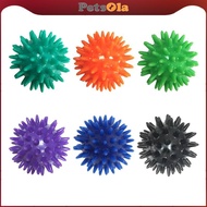 [PETSOLA] Spiky Massage Ball Exercise Ball Spiky Massage Roller Foot Massage Ball for Head Face