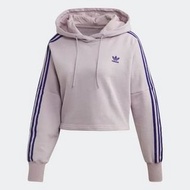 愛迪達  Adidas 帽踢 帽t 紫色 短版 三葉草 ED7556 紫 XS