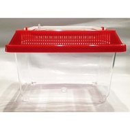 [Magic Crystal Garden Beetle] Square Breeding Pet Box (S)