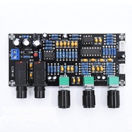 XH-M273 PT2399 Digital Microphone Amplifier Board Reverberation Karaoke OK Reverb Amplifier NE5532 P