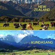 Kereta Sewa Kota kinabalu/Car Rental Sabah