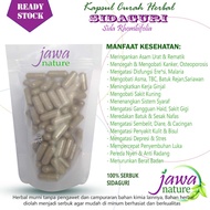 Sidaguri kapsul herbal kapsul herbal sidaguri obat herbal asam urat sidaguri