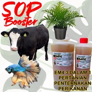 EM4 3 in 1 Pertanian Penternakan Perikanan aPMg Agro SOP Booster