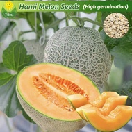 เมล็ดพันธุ์ แคนตาลูป เมล่อน บรรจุ 70เมล็ด Hami Melon Seed Cantaloupe Fruit Seeds for Planting บอนไซ ต้นผลไม้ เมล็ดผลไม้ พันธุ์ผลไม้ เมล็ดพันธุ์ผลไม้ พันธุ์ไม้ผล ต้นไม้กินผล ต้นไม้มงคล เมล็ดบอนสี ต้นไม้แคระ เมล็ดพันธุ์ผัก เมล็ดดอกไม้ เหมาะกับมือใหม่หัดปลูก