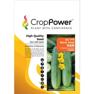 Benih Timun DC777 Black Steel F1 Hybrid Cucumber Crop Power - ( 20g ) 👍 💯