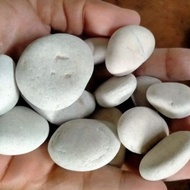 / decorative stones,/ coral stones, white garden stones, 10 kg packaging, size 2-5cm