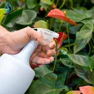 READY PUPUK MEROKE MAG-S ( MGSO4 ) 1 KG