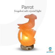 Salt Lamp Parrot Himalayan Salt Lamp Fengshui salt crystal light table lamps Himalayan salt lamp