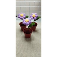 Handmade Crochet Mini Puff Flower in Pot
