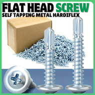 (100 PCS) Pan Head Screw for Metal 1/2 inch to 1 inch Self-tapping Hardiflex Screw Job Screw FlashHa