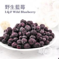 [莓果工坊] 冷凍野生藍莓3入/組