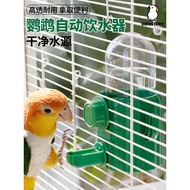 Penghidup air automatik untuk burung kakak tua dan burung kecil, penyuap gantung tahan percikan untu